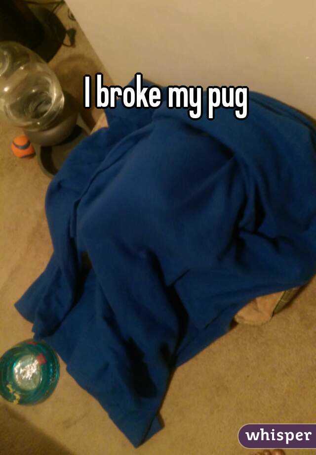 I broke my pug