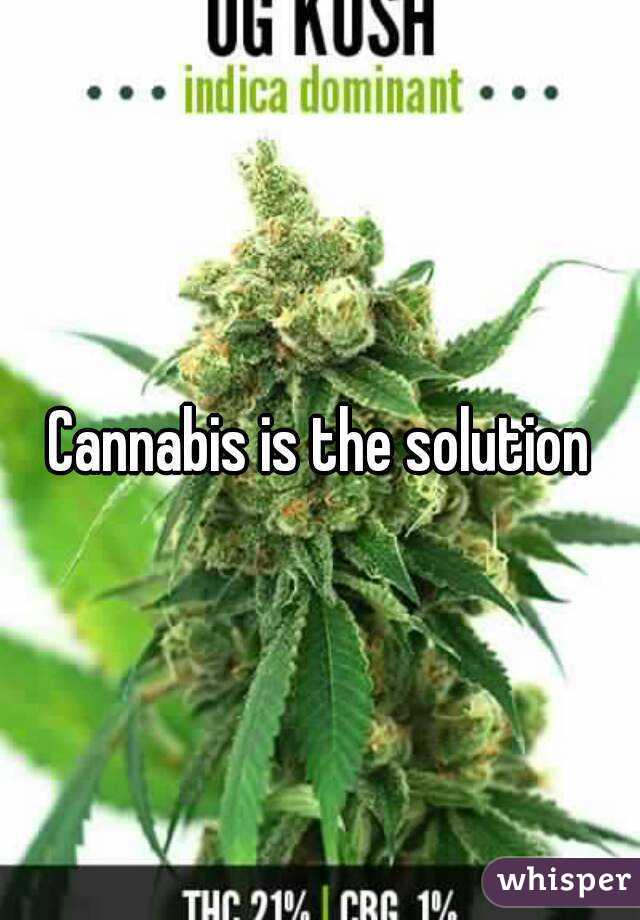 Cannabis is the solution