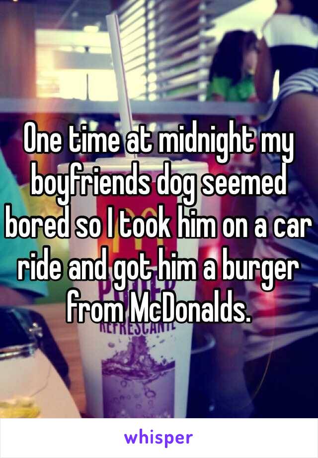 One time at midnight my boyfriends dog seemed bored so I took him on a car ride and got him a burger from McDonalds. 