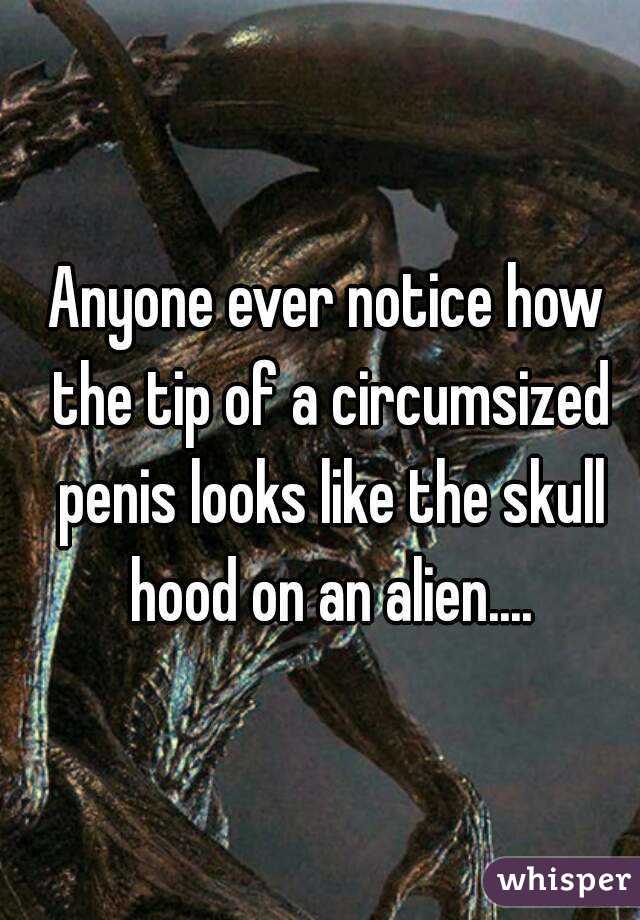 Anyone ever notice how the tip of a circumsized penis looks like the skull hood on an alien....