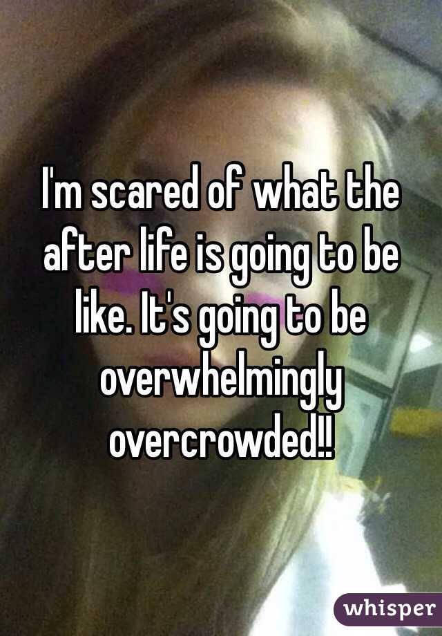 I'm scared of what the after life is going to be like. It's going to be overwhelmingly overcrowded!!