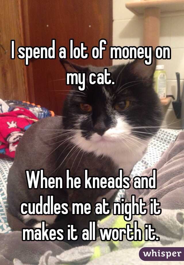 I spend a lot of money on my cat. 



When he kneads and cuddles me at night it makes it all worth it.
