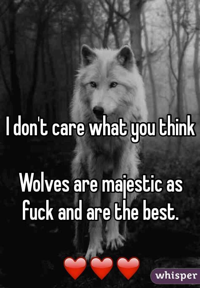 I don't care what you think

Wolves are majestic as fuck and are the best. 

❤️❤️❤️