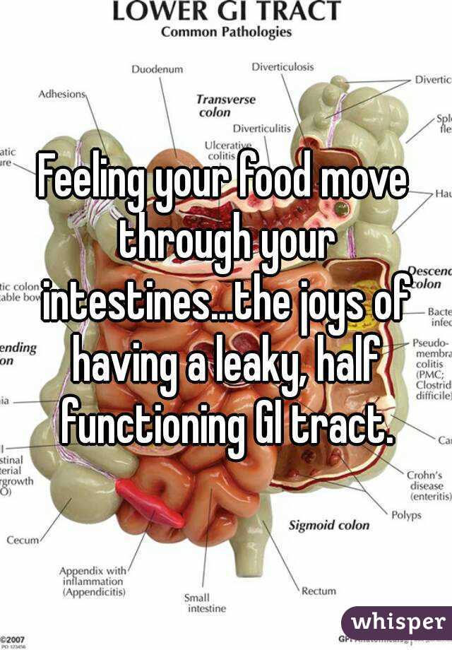 Feeling your food move through your intestines...the joys of having a leaky, half functioning GI tract.
