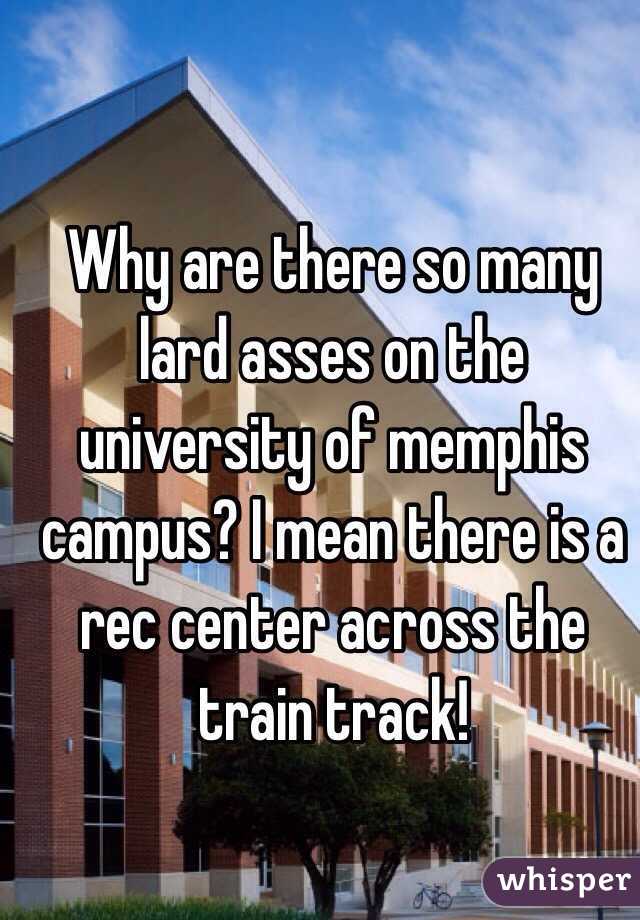 Why are there so many lard asses on the university of memphis campus? I mean there is a rec center across the train track! 