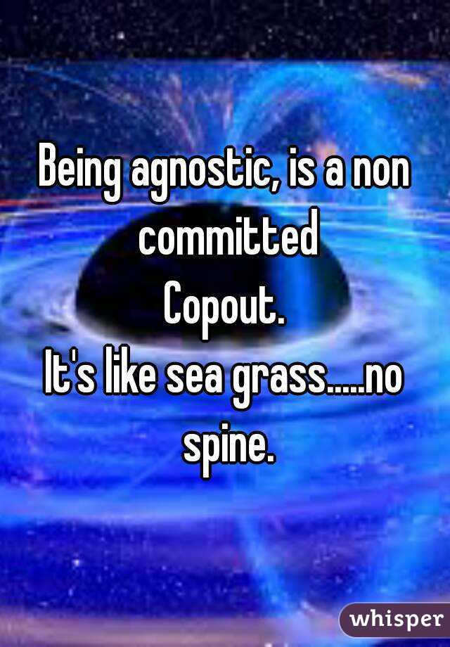 Being agnostic, is a non committed
Copout.
It's like sea grass.....no spine.