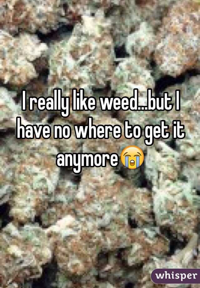 I really like weed...but I have no where to get it anymore😭