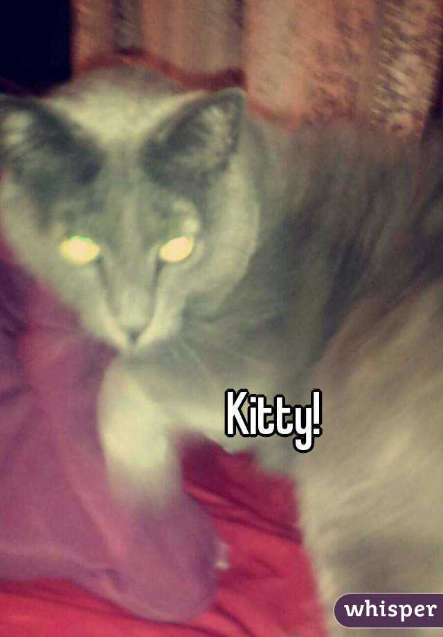 Kitty!