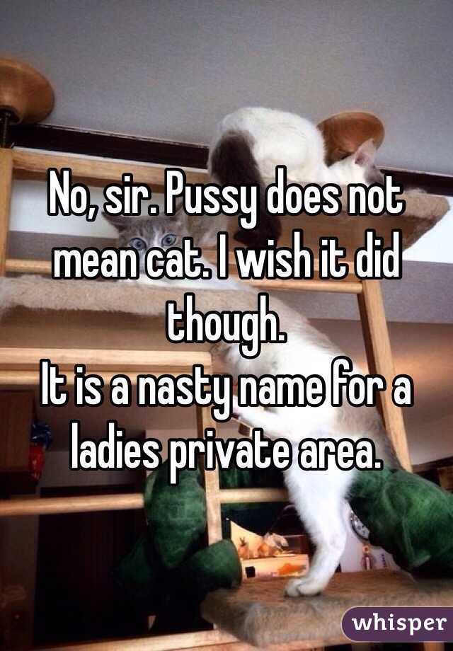 No, sir. Pussy does not mean cat. I wish it did though.
It is a nasty name for a ladies private area.