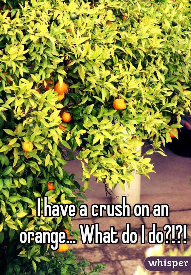 I have a crush on an orange... What do I do?!?!