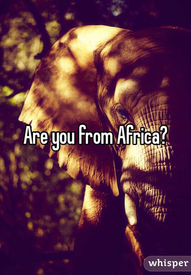 Are you from Africa?