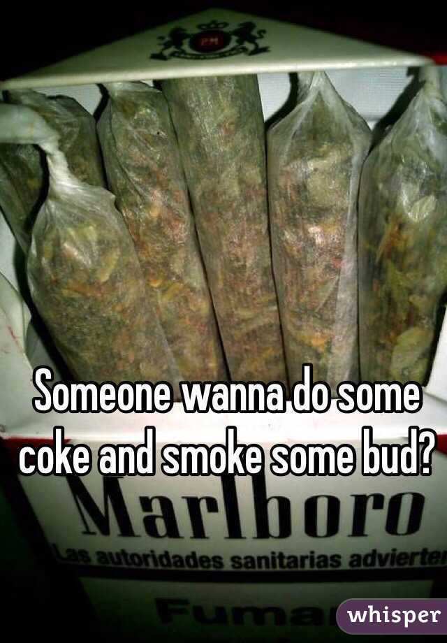Someone wanna do some coke and smoke some bud?