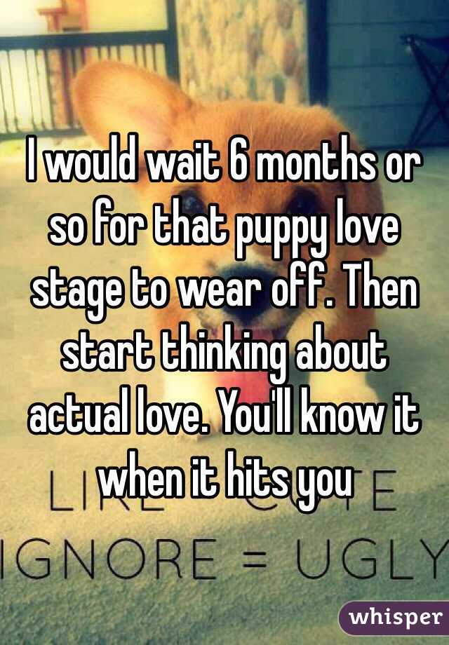 I would wait 6 months or so for that puppy love stage to wear off. Then start thinking about actual love. You'll know it when it hits you