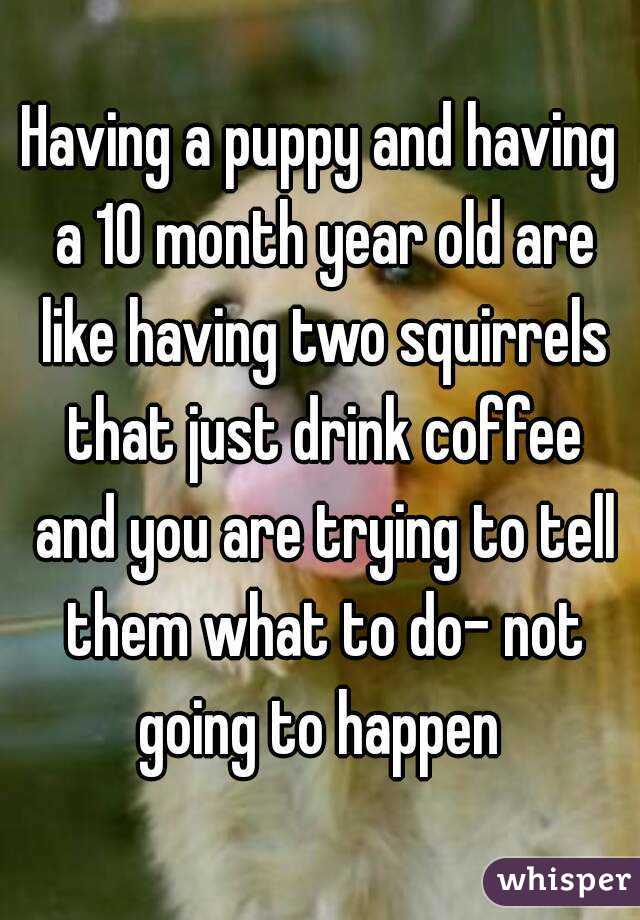 Having a puppy and having a 10 month year old are like having two squirrels that just drink coffee and you are trying to tell them what to do- not going to happen 