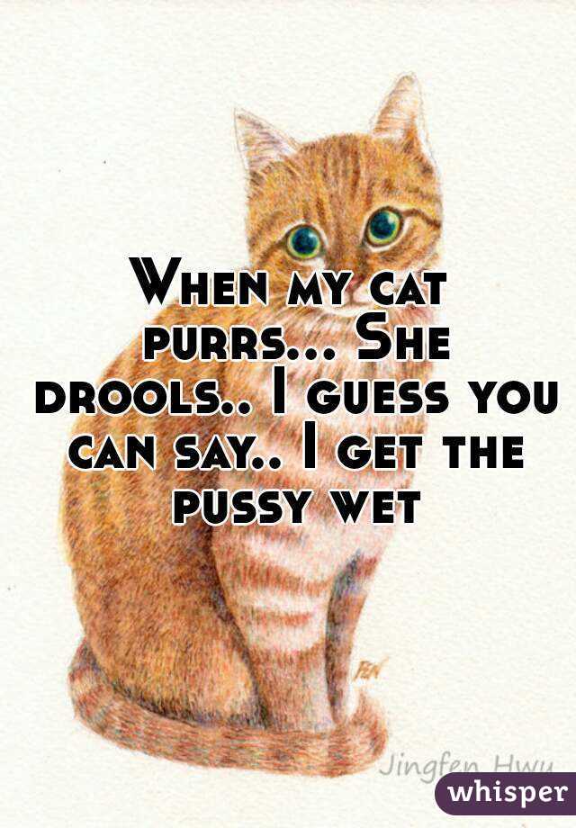 When my cat purrs... She drools.. I guess you can say.. I get the pussy wet