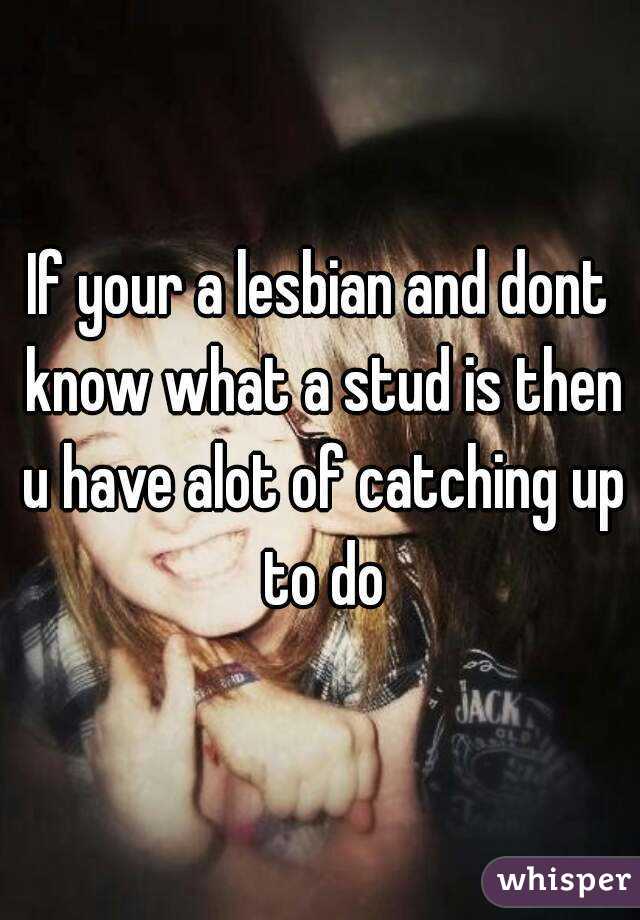 If your a lesbian and dont know what a stud is then u have alot of catching up to do