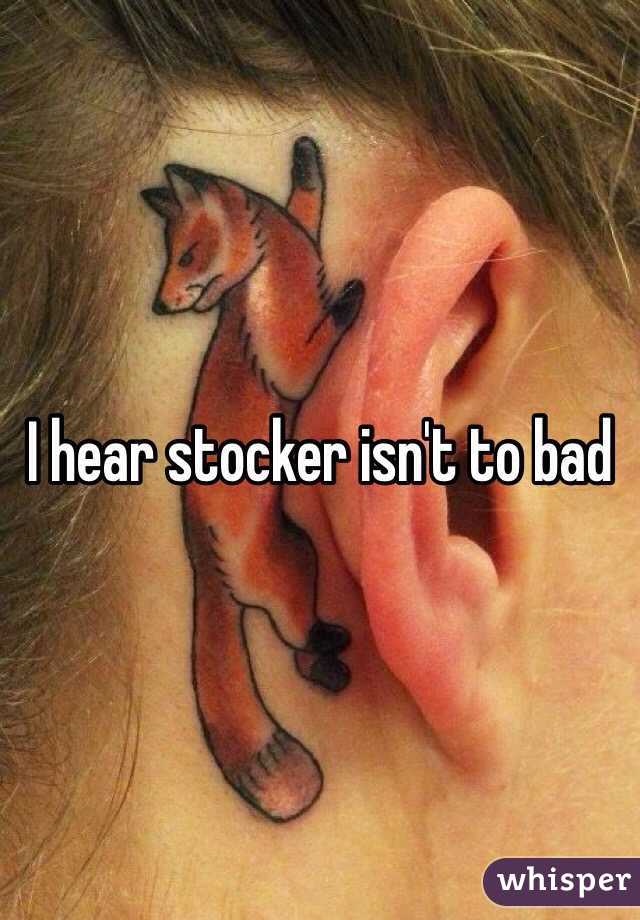 I hear stocker isn't to bad