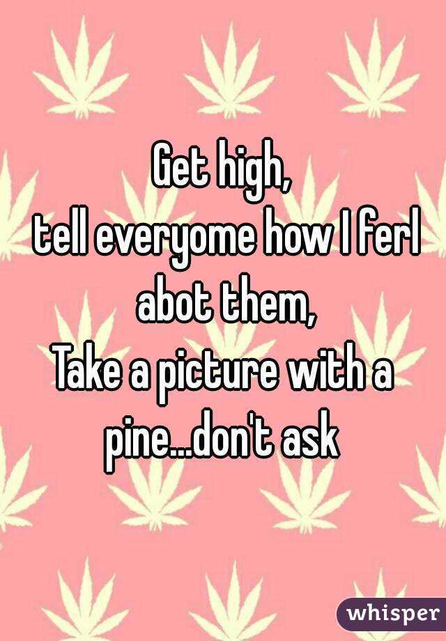Get high,
 tell everyome how I ferl abot them,
Take a picture with a pine...don't ask 