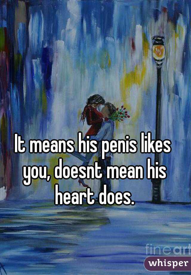 It means his penis likes you, doesnt mean his heart does.