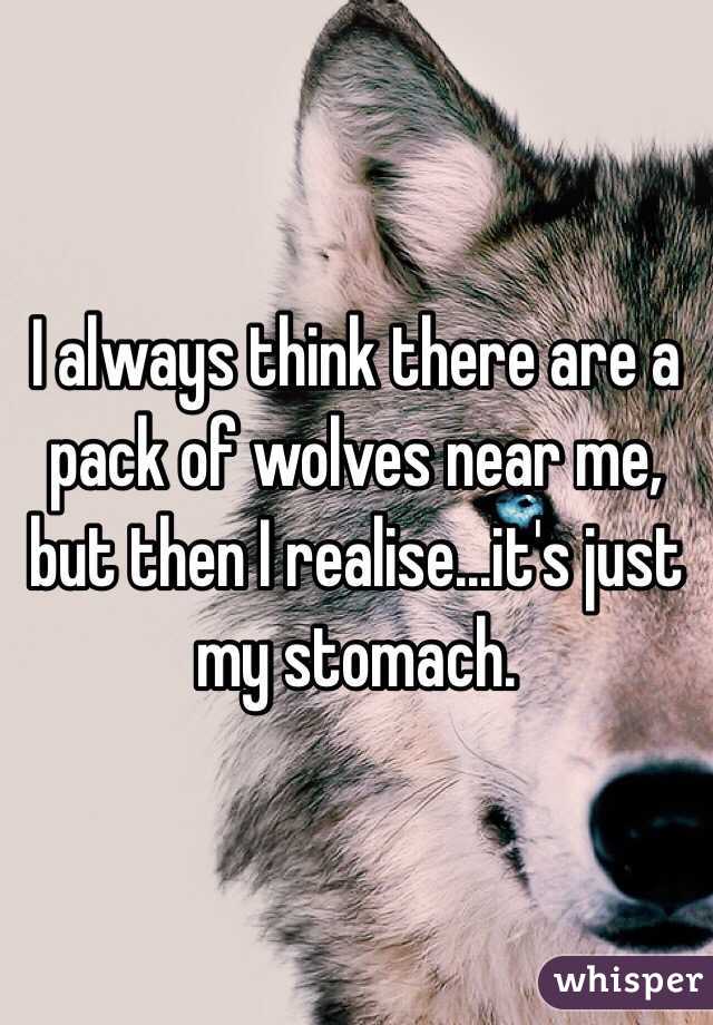 I always think there are a pack of wolves near me, but then I realise...it's just my stomach. 