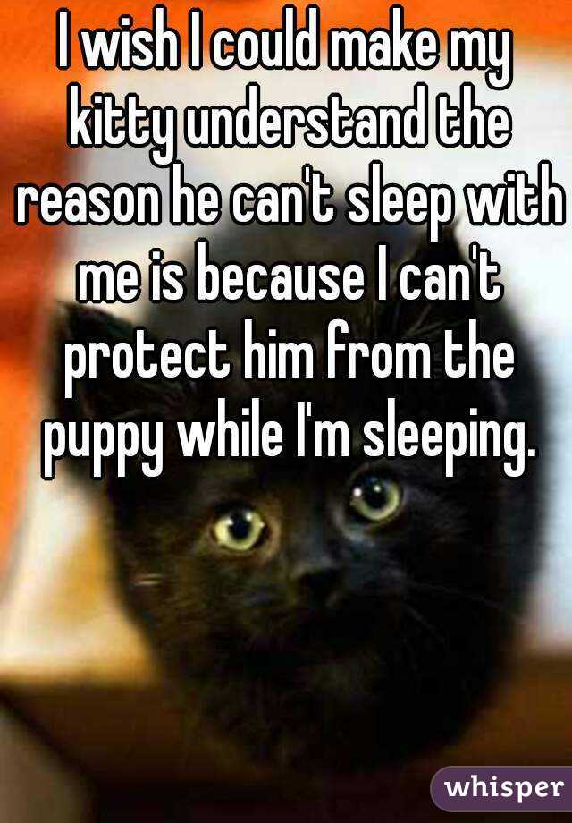 I wish I could make my kitty understand the reason he can't sleep with me is because I can't protect him from the puppy while I'm sleeping.
