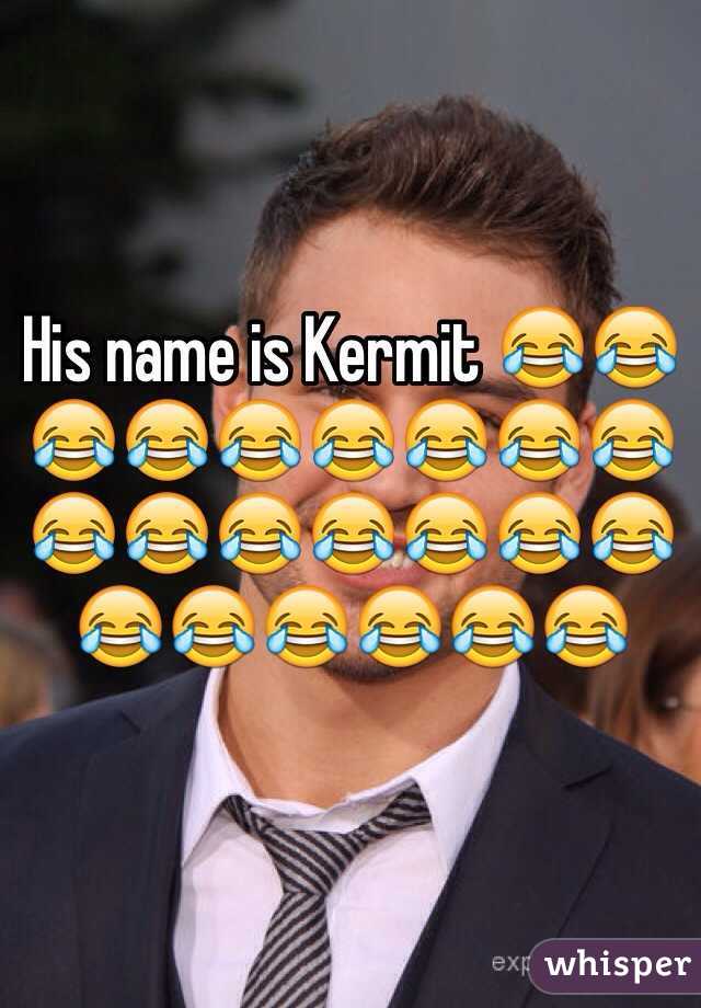 His name is Kermit 😂😂😂😂😂😂😂😂😂😂😂😂😂😂😂😂😂😂😂😂😂😂
