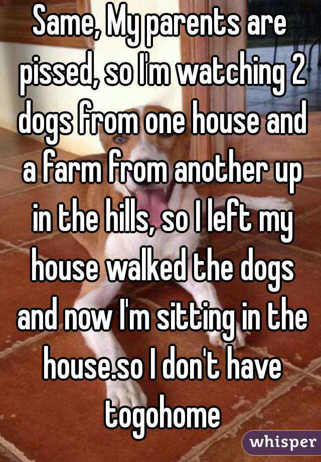 Same, My parents are pissed, so I'm watching 2 dogs from one house and a farm from another up in the hills, so I left my house walked the dogs and now I'm sitting in the house.so I don't have togohome