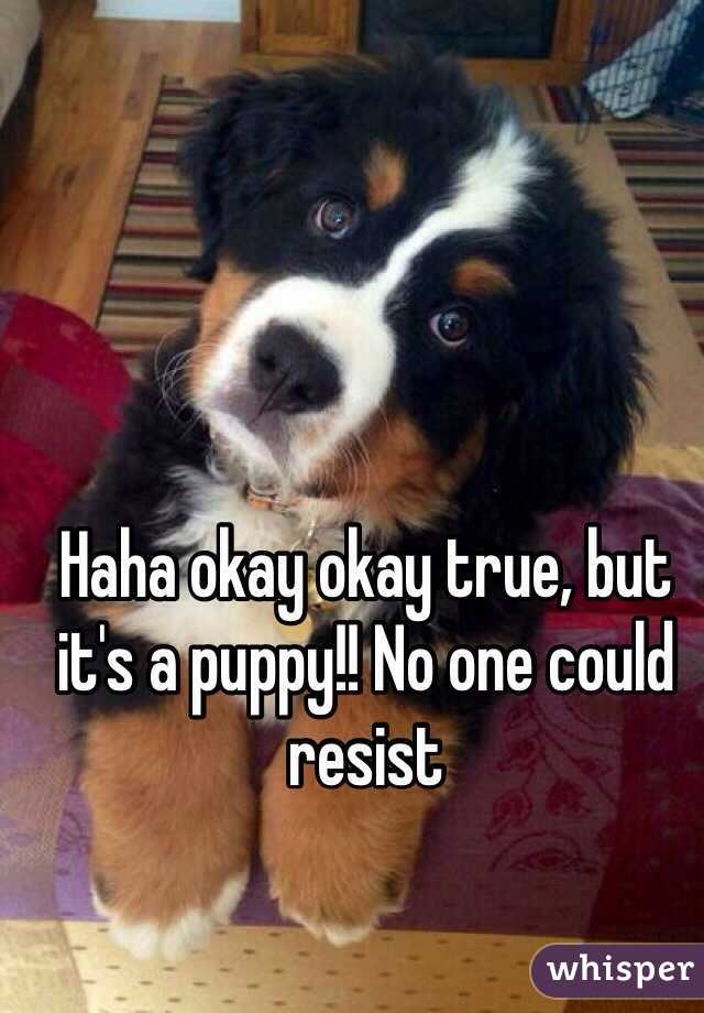 Haha okay okay true, but it's a puppy!! No one could resist 