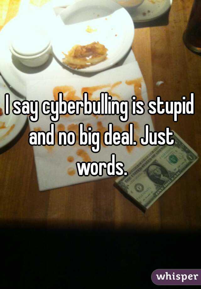 I say cyberbulling is stupid and no big deal. Just words.