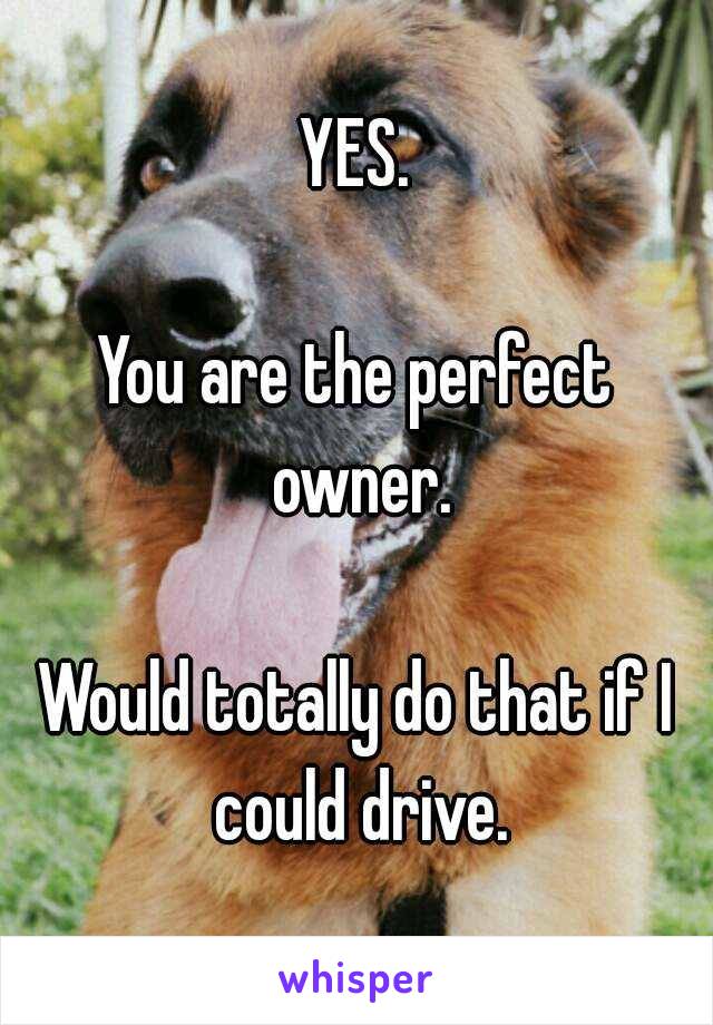 YES.

You are the perfect owner.

Would totally do that if I could drive.