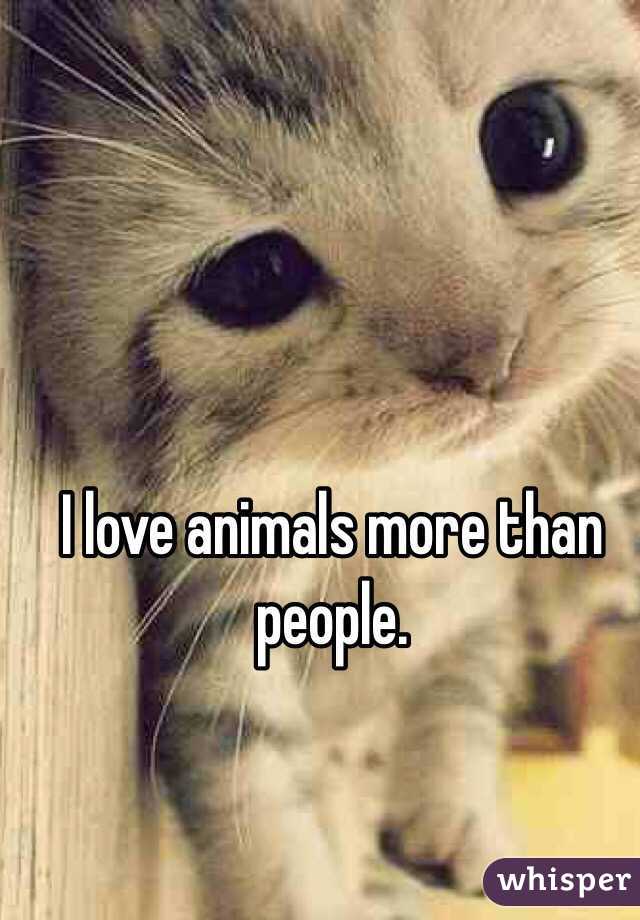 I love animals more than people.
