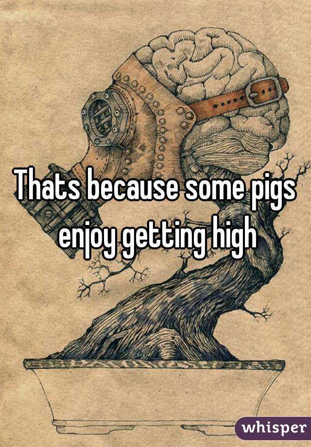 Thats because some pigs enjoy getting high