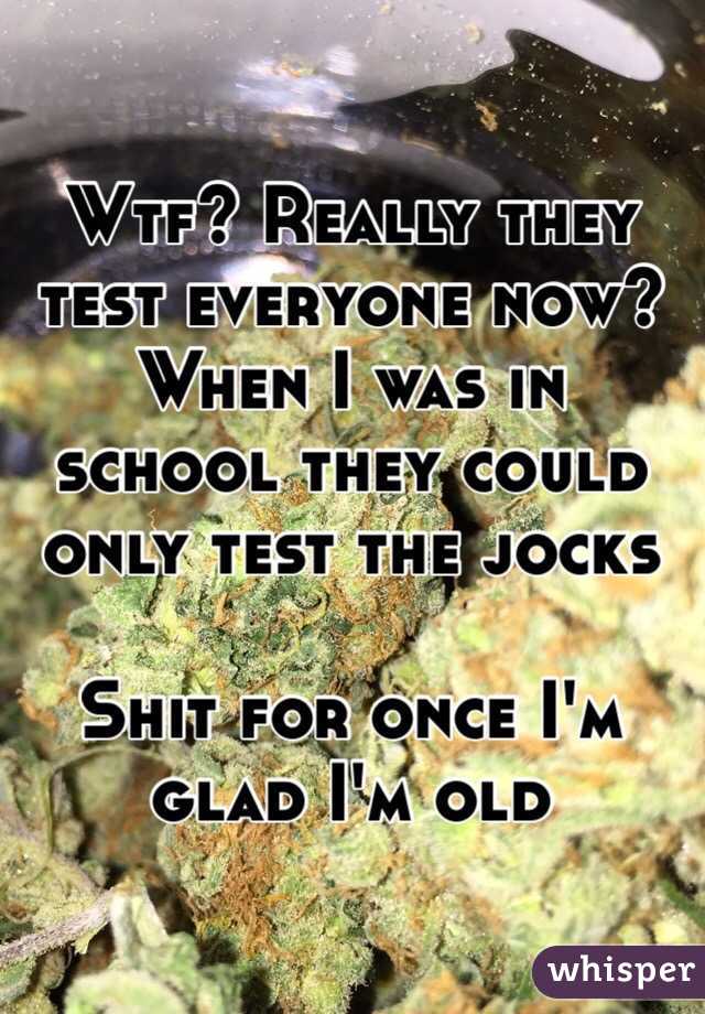 Wtf? Really they test everyone now? When I was in school they could only test the jocks

Shit for once I'm glad I'm old 