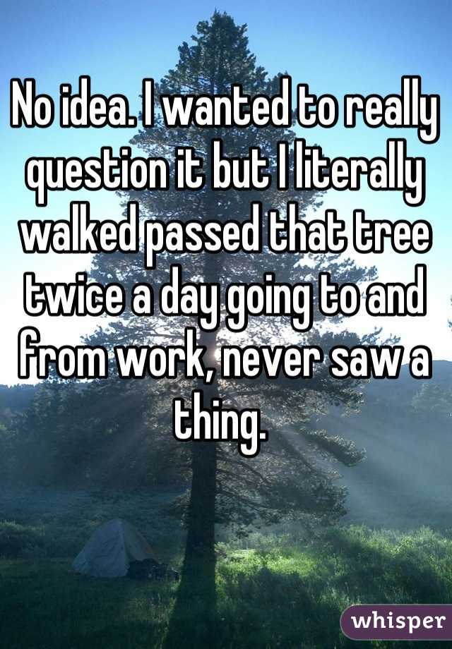 No idea. I wanted to really question it but I literally walked passed that tree twice a day going to and from work, never saw a thing. 