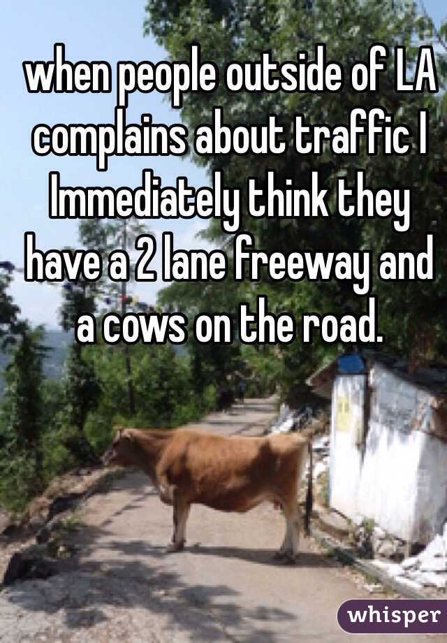when people outside of LA complains about traffic I Immediately think they have a 2 lane freeway and a cows on the road. 