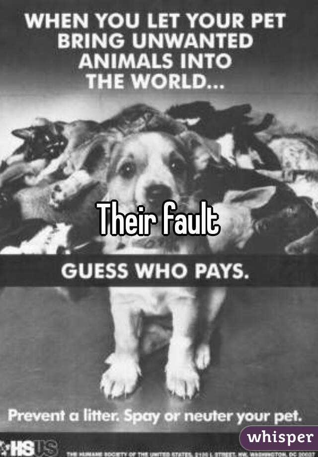 Their fault