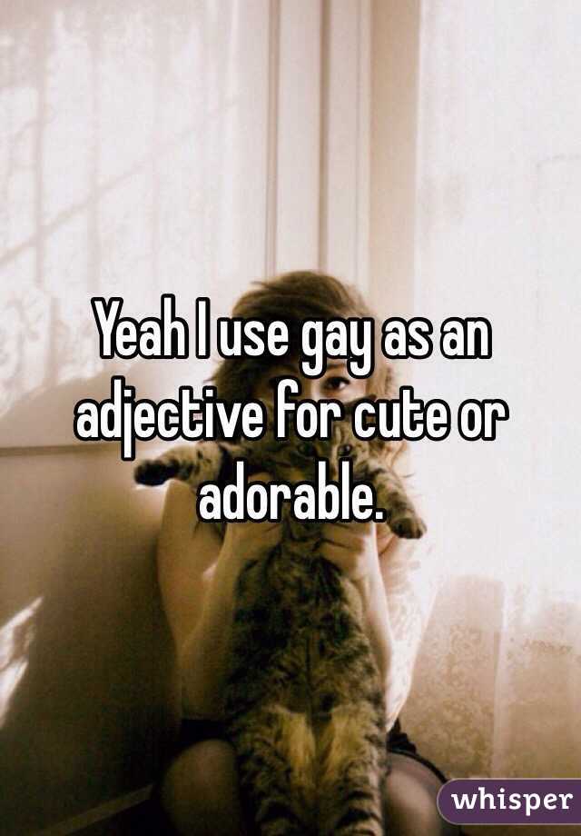 Yeah I use gay as an adjective for cute or adorable.  