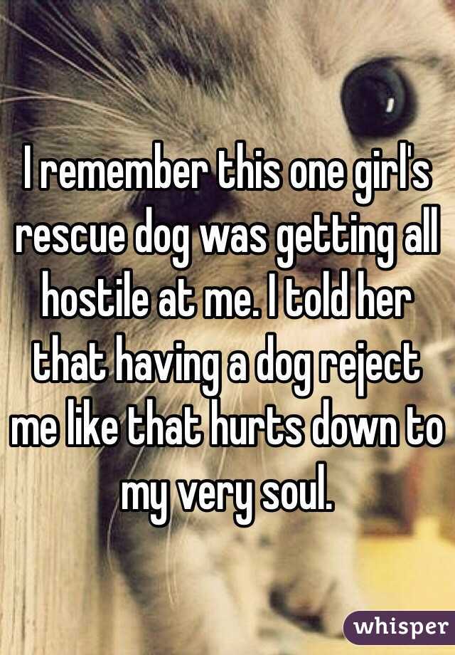 I remember this one girl's rescue dog was getting all hostile at me. I told her that having a dog reject me like that hurts down to my very soul.