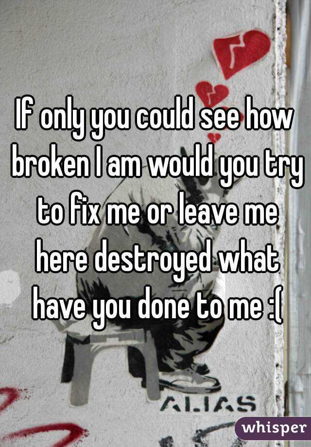If only you could see how broken I am would you try to fix me or leave me here destroyed what have you done to me :(