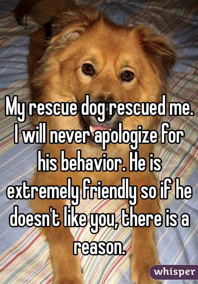 My rescue dog rescued me. 
I will never apologize for his behavior. He is extremely friendly so if he doesn't like you, there is a reason.