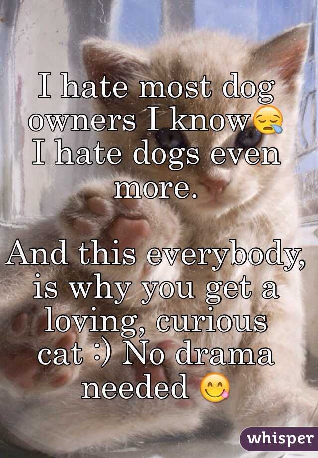 I hate most dog owners I know😪
I hate dogs even more. 

And this everybody, is why you get a loving, curious cat :) No drama needed 😋