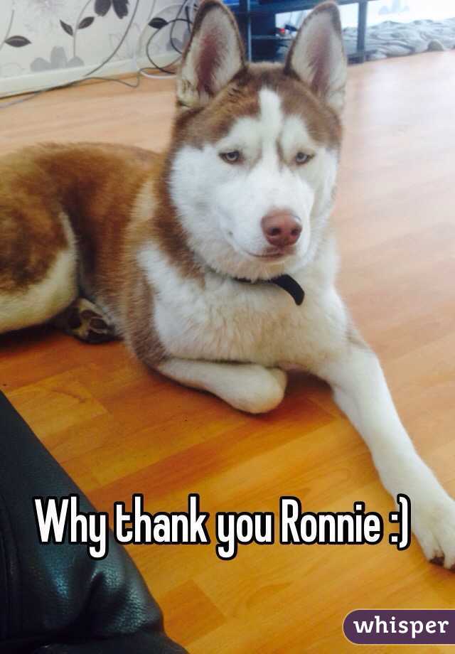 Why thank you Ronnie :)