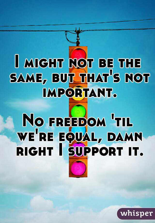 I might not be the same, but that's not important.

No freedom 'til we're equal, damn right I support it.