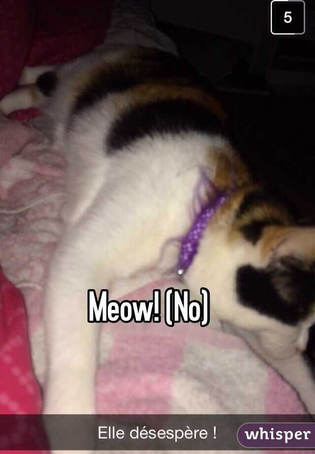 Meow! (No)