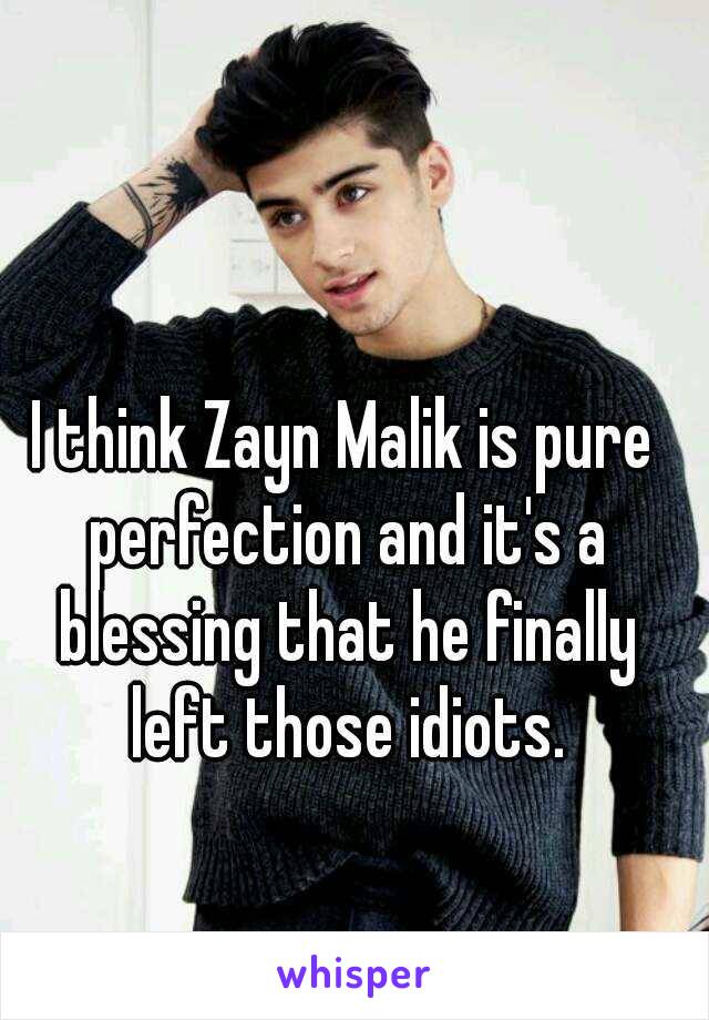 I think Zayn Malik is pure perfection and it's a blessing that he finally left those idiots.