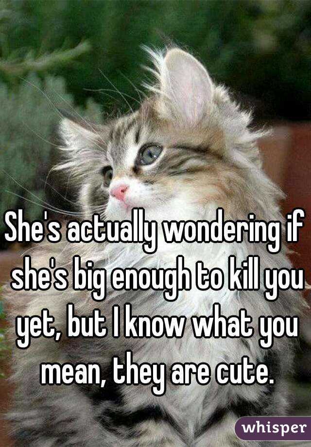She's actually wondering if she's big enough to kill you yet, but I know what you mean, they are cute.