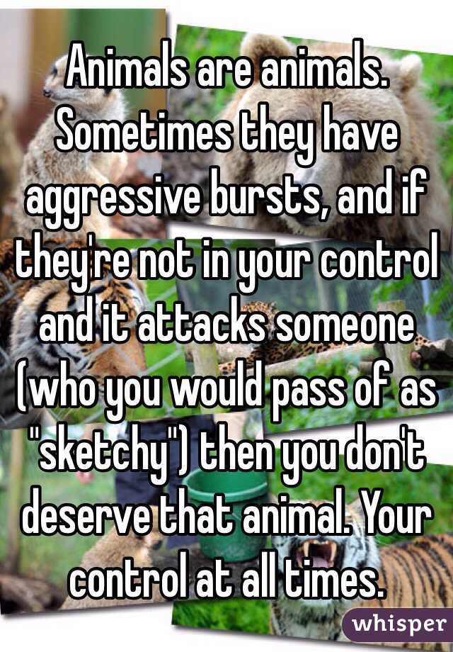 Animals are animals. Sometimes they have aggressive bursts, and if they're not in your control and it attacks someone (who you would pass of as "sketchy") then you don't deserve that animal. Your control at all times.