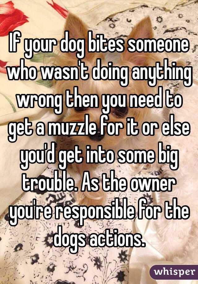 If your dog bites someone who wasn't doing anything wrong then you need to get a muzzle for it or else you'd get into some big trouble. As the owner you're responsible for the dogs actions.
