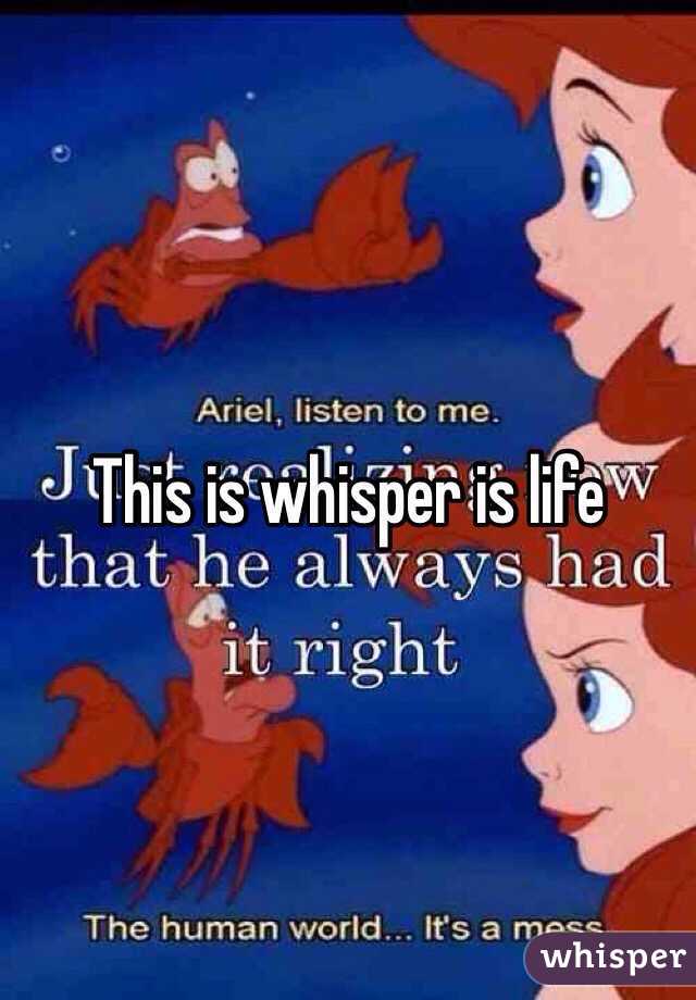 This is whisper is life 