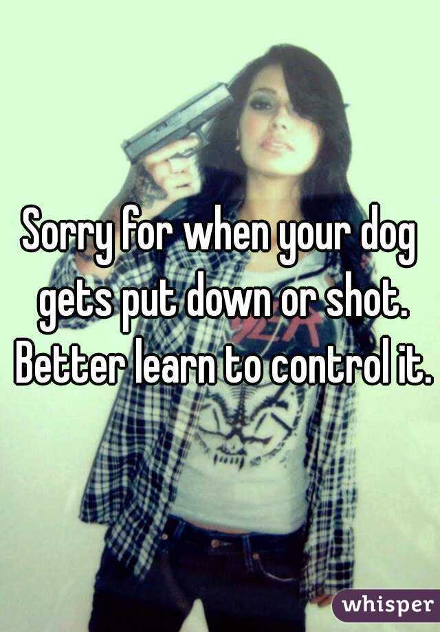 Sorry for when your dog gets put down or shot. Better learn to control it.